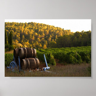 Provence, France Poster