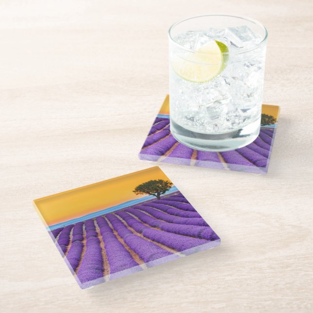 Provence Glass Coaster (Angled)