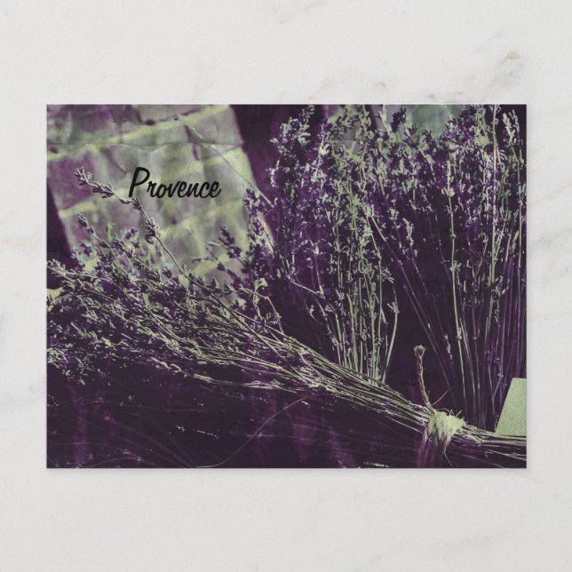 provence lavender postcard (Front)