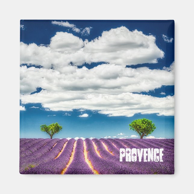 Provence magnet, Valensole lavender Magnet (Front)