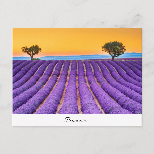 Provence Postcard (Front)