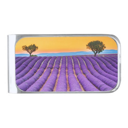 Provence Silver Finish Money Clip