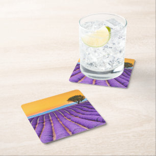 Provence Square Paper Coaster