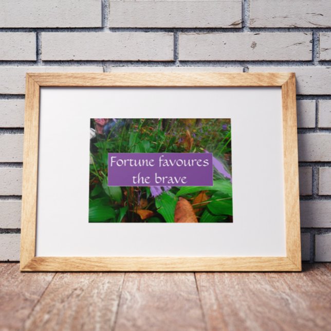 Proverb fortune favors the brave poster (Creator Uploaded)