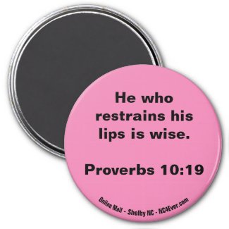 Proverbs 10:19 pink magnet