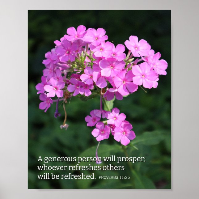 Proverbs 11:25 Pink Phlox Christian Poster (Front)
