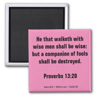Proverbs 13:20 Bible Verse magnet