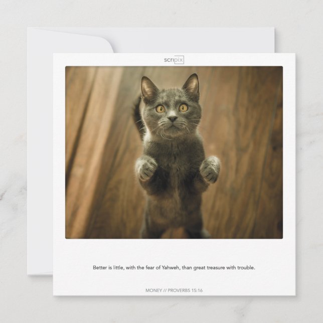 Proverbs 15:16 MONEY SCRIPIX card (Front)