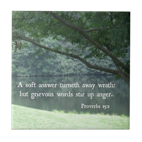 Proverbs 151 A soft answer turneth away wrath Tile