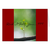 Proverbs 18:21 - Love (Front Horizontal)