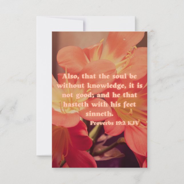 Proverbs 19:2 KJV Bible Verse Pic Flat Greeting Card (Front)