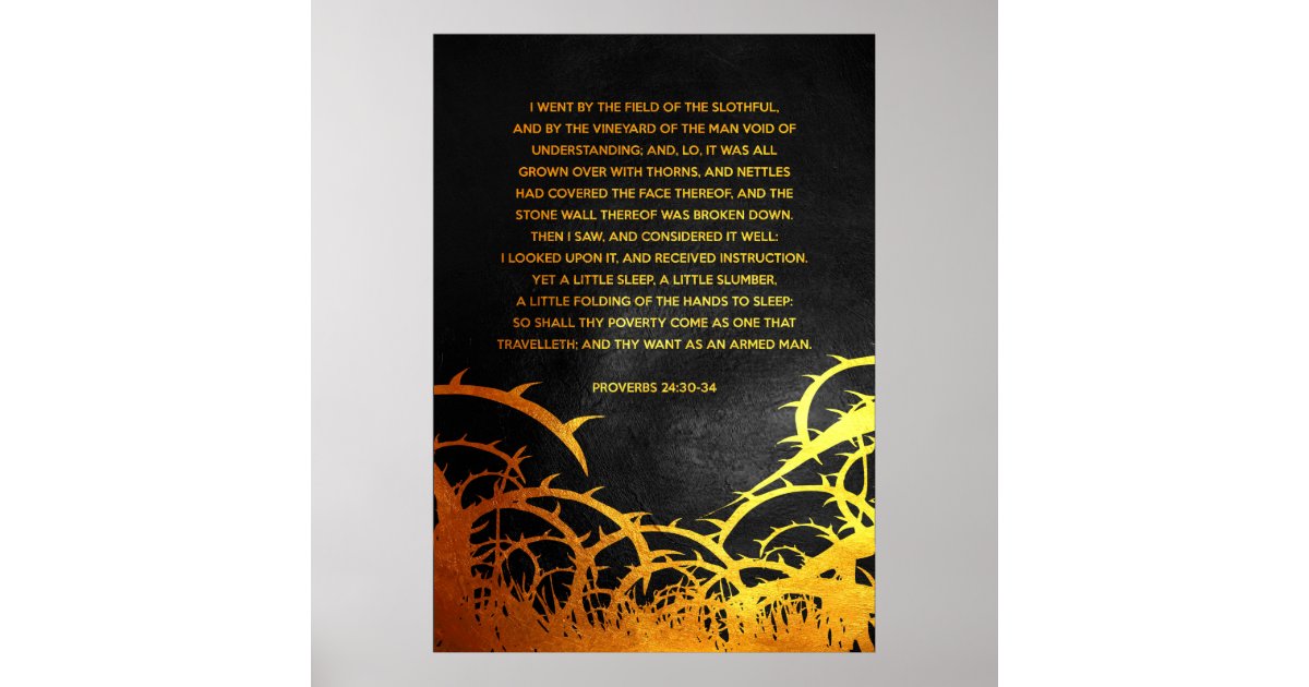 Proverbs 24 30 34 Bible Verse Poster Zazzle free-proverbs-coloring-pages-bible-coloring-sheets-stevie-doodles
