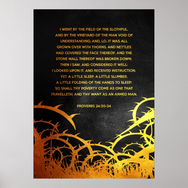 Proverbs 24:30-34 Bible Verse Poster (Front)