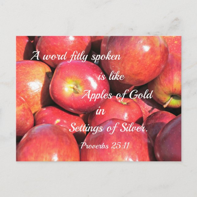 Proverbs 25:11 A word fitly spoken... Postcard (Front)