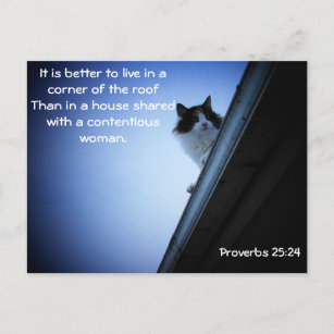 Proverbs 25  24 Cat on a Roof Meme Postcard