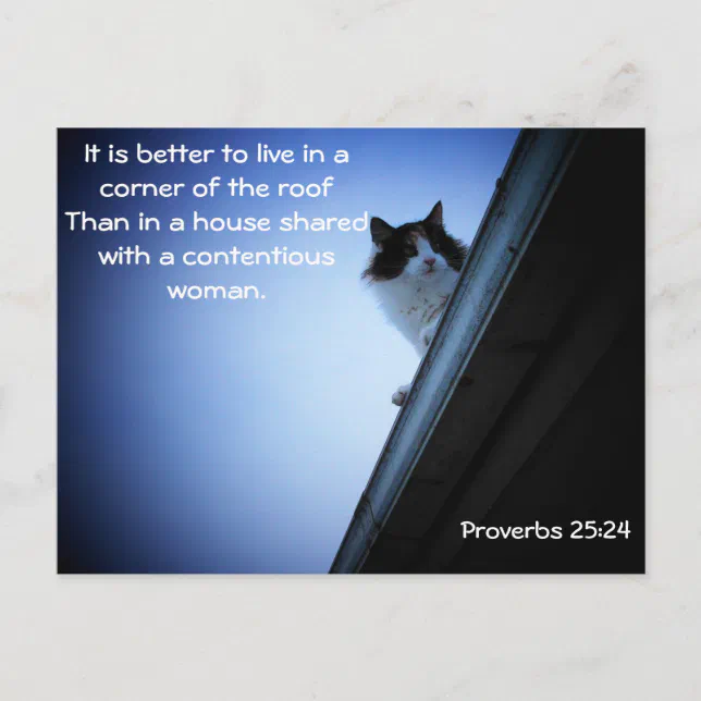 proverbs-25-24-cat-on-a-roof-meme-postcard-zazzle
