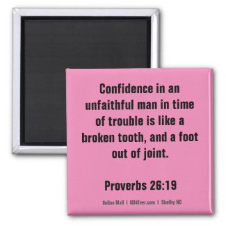 Proverbs 26:19 Bible Verse magnet