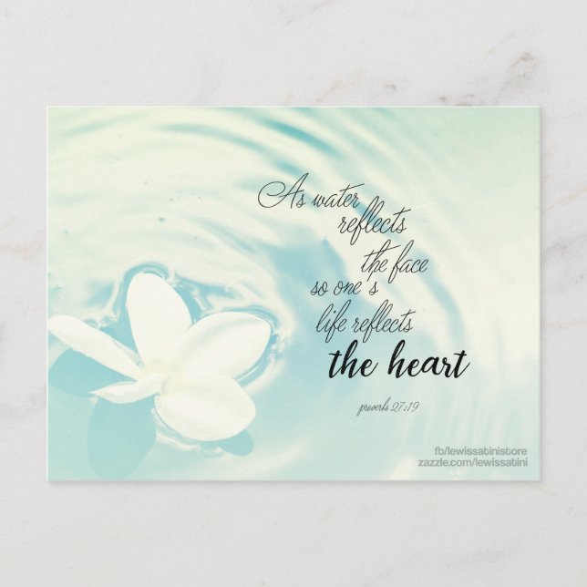 Proverbs 27:19 - As water reflects the face Postcard (Front)