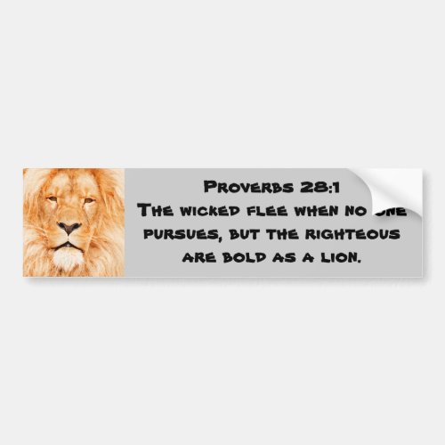 Proverbs 281 bumper sticker
