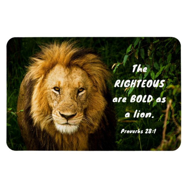 Proverbs 28:1 Righteous are Bold as a Lion Bible  Magnet (Horizontal)