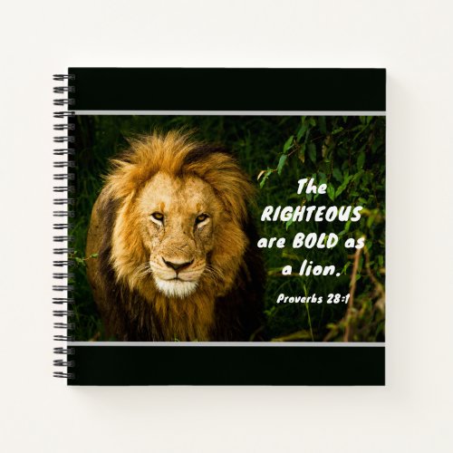 Proverbs 281 Righteous are Bold as a Lion Bible Notebook