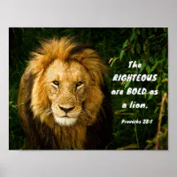 The Righteous Are As store Bold As A Lion Plaque - BRAND NEW