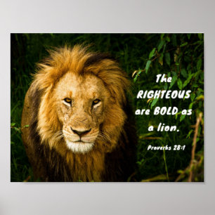 Proverbs 28:1 Righteous are Bold as a Lion Bible Poster