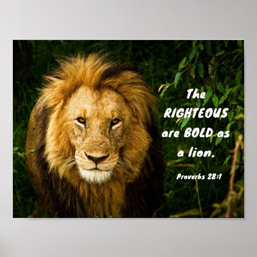 Proverbs 281 Righteous are Bold as a Lion Bible Poster