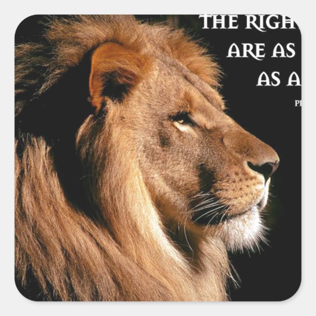 Proverbs 28:1 square sticker (Front)