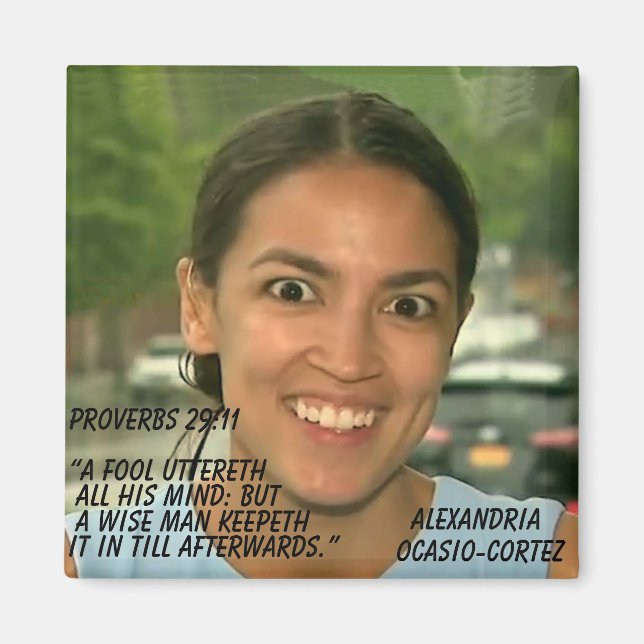 PROVERBS 29:11 MAGNET (Front)