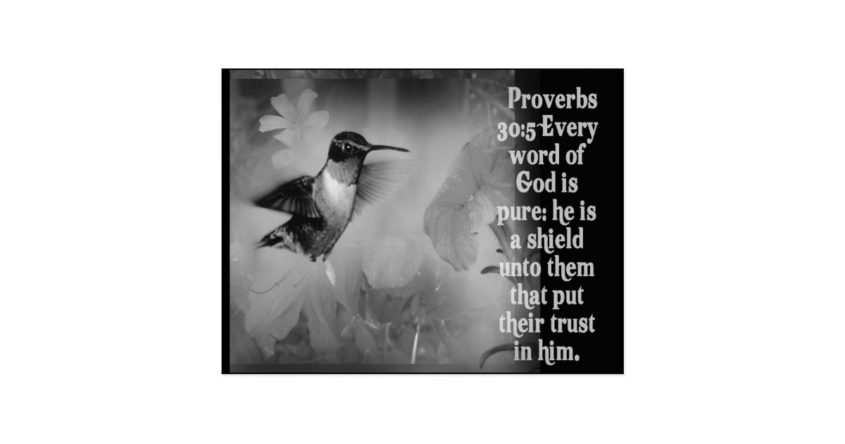 proverbs 30 5 bible scripture with hummingbird postcard scripture posters free