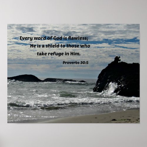 Proverbs 305 Every word of God is flawless Poster