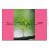 Proverbs 31:29 cards (Front Horizontal)