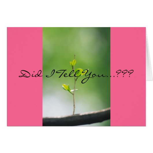 Proverbs 31:29 cards (Front Horizontal)