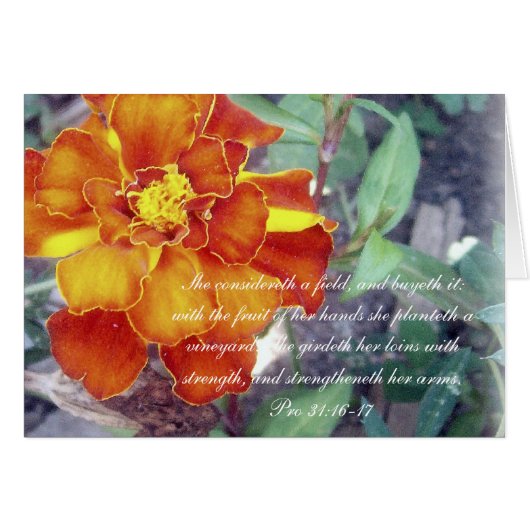 Proverbs 31 Collection ~ Pro 31:16-17 Cards (Front Horizontal)
