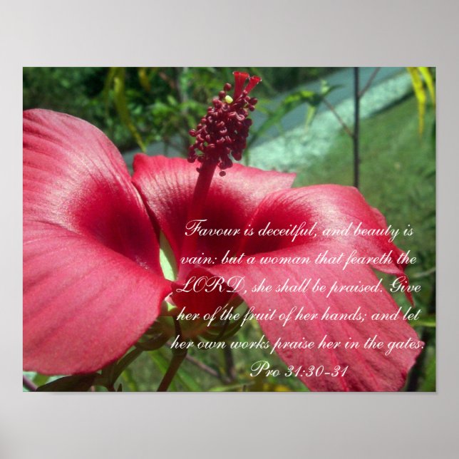Proverbs 31 Collection ~ Pro 31: 30-31 Poster (Front)