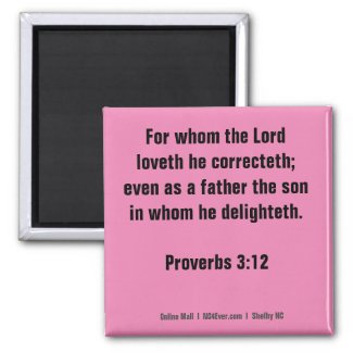 Proverbs 3:12 Bible Verse magnet