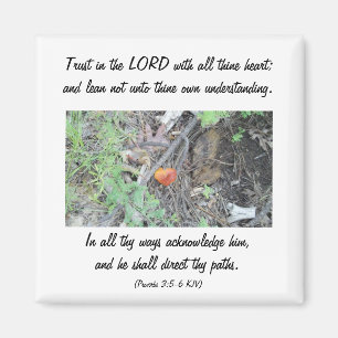 Proverbs 3:5-6 magnet