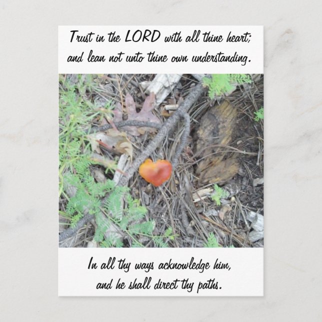 Proverbs 3:5-6 postcard (Front)