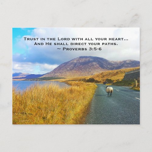 Proverbs 35_6 Trust the Lord Beautiful Ireland Postcard