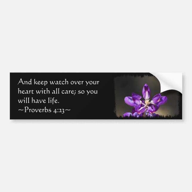 Proverbs 4:23 bumper sticker (Front)