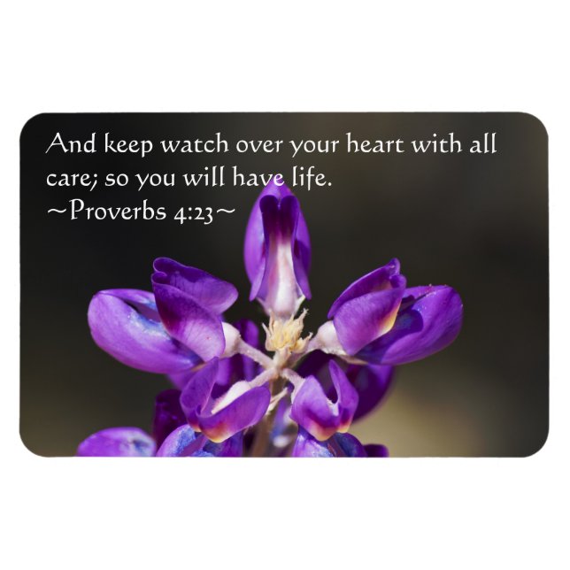 Proverbs 4:23 magnet (Horizontal)