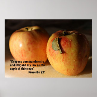 Proverbs 2 Gifts on Zazzle