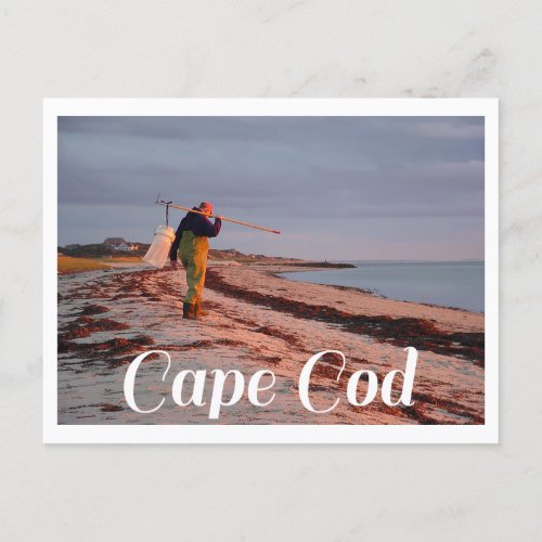 Provincetown Massachusetts Cape Cod Post Card