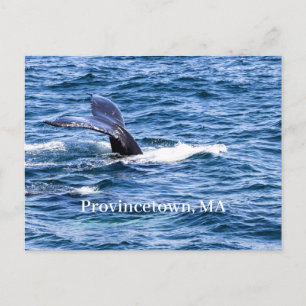 Provincetown Postcard