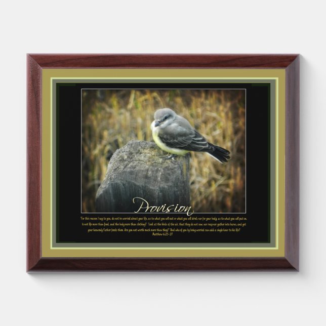 Provision Plaque (Horizontal)