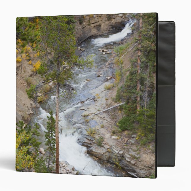 Provo River and aspen trees 3 Ring Binder (Front/Inside)