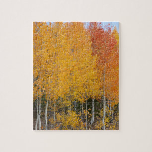 Provo River and aspen trees Jigsaw Puzzle