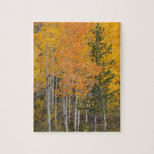 Provo River and aspen trees Jigsaw Puzzle