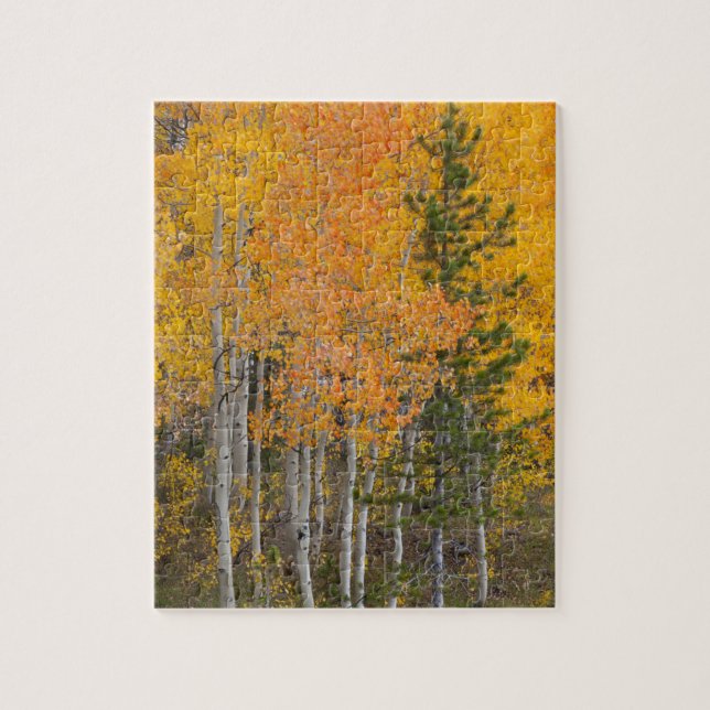 Provo River and aspen trees Jigsaw Puzzle (Vertical)